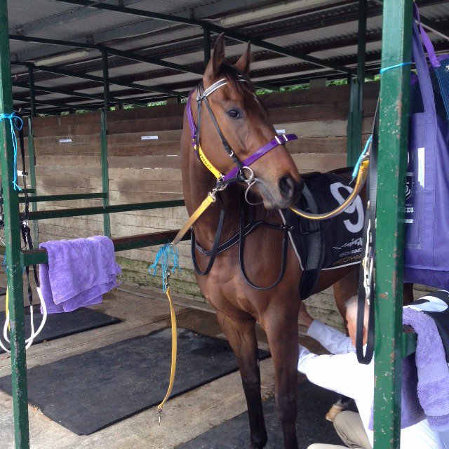 csblackwell69's tweet image. Roger is all set for his Northam assignment today R3.

Finally gets a good draw from B1 with the cutaway - fingers crossed 👍

#PickUpLine