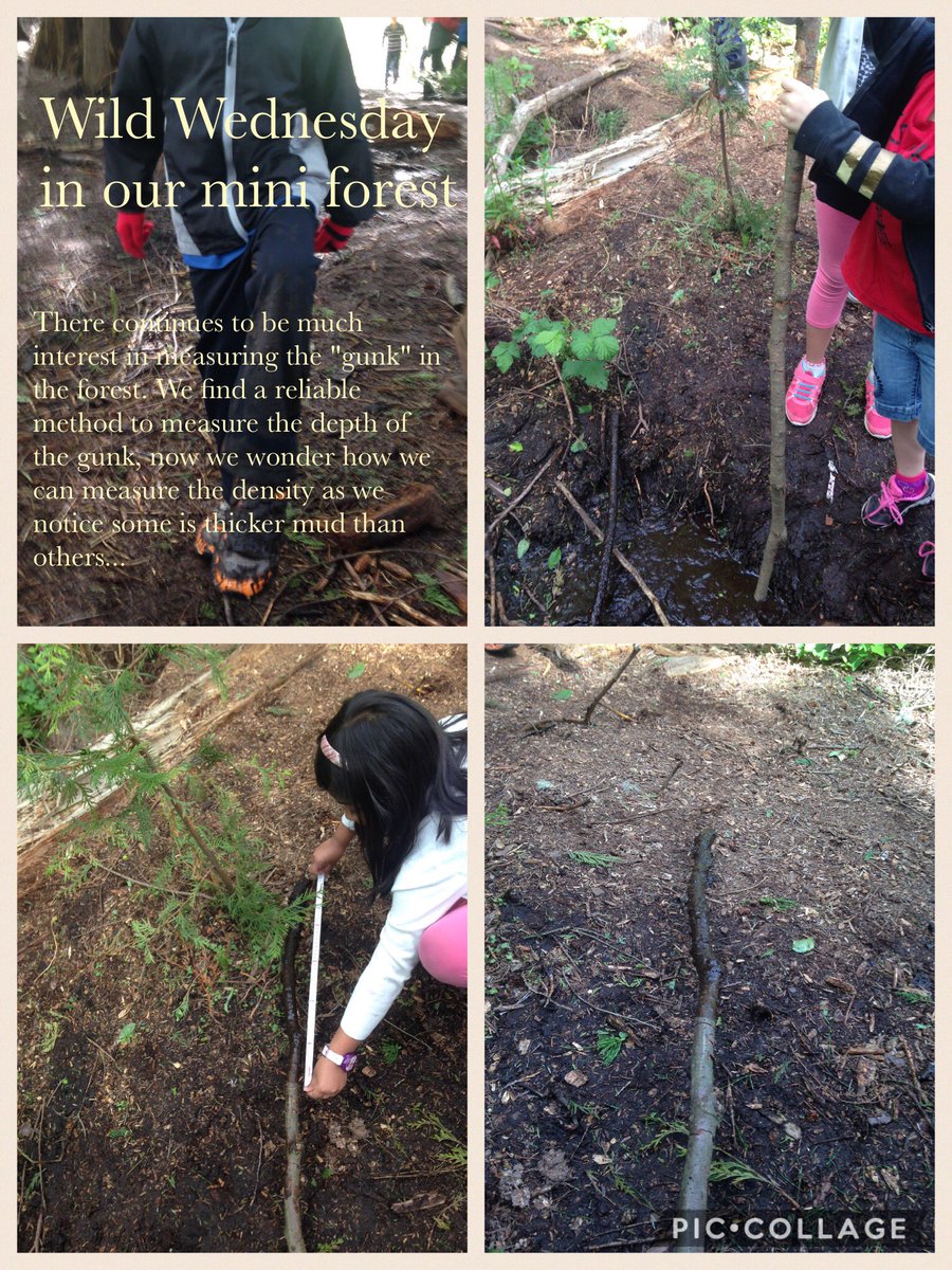 Lora Sarchet tweet media