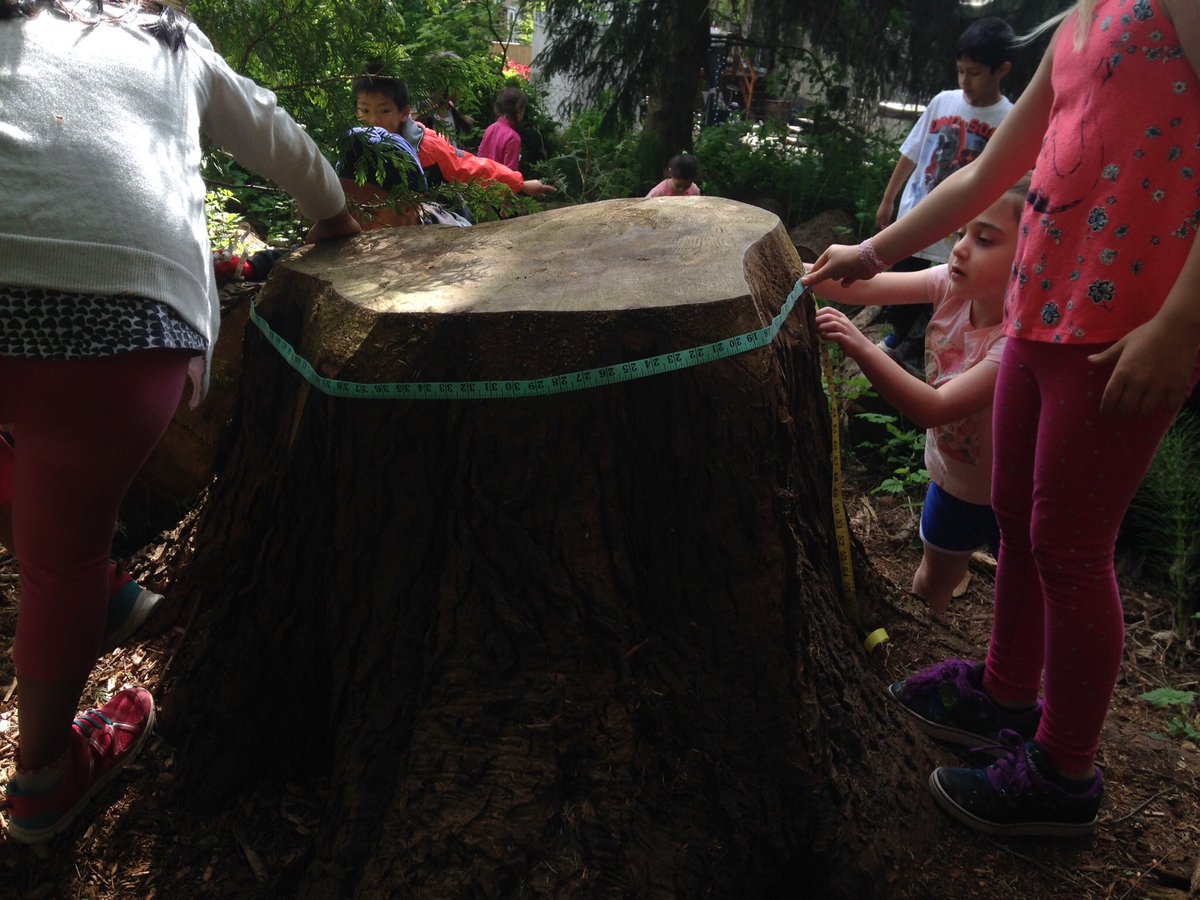 Lora Sarchet tweet media