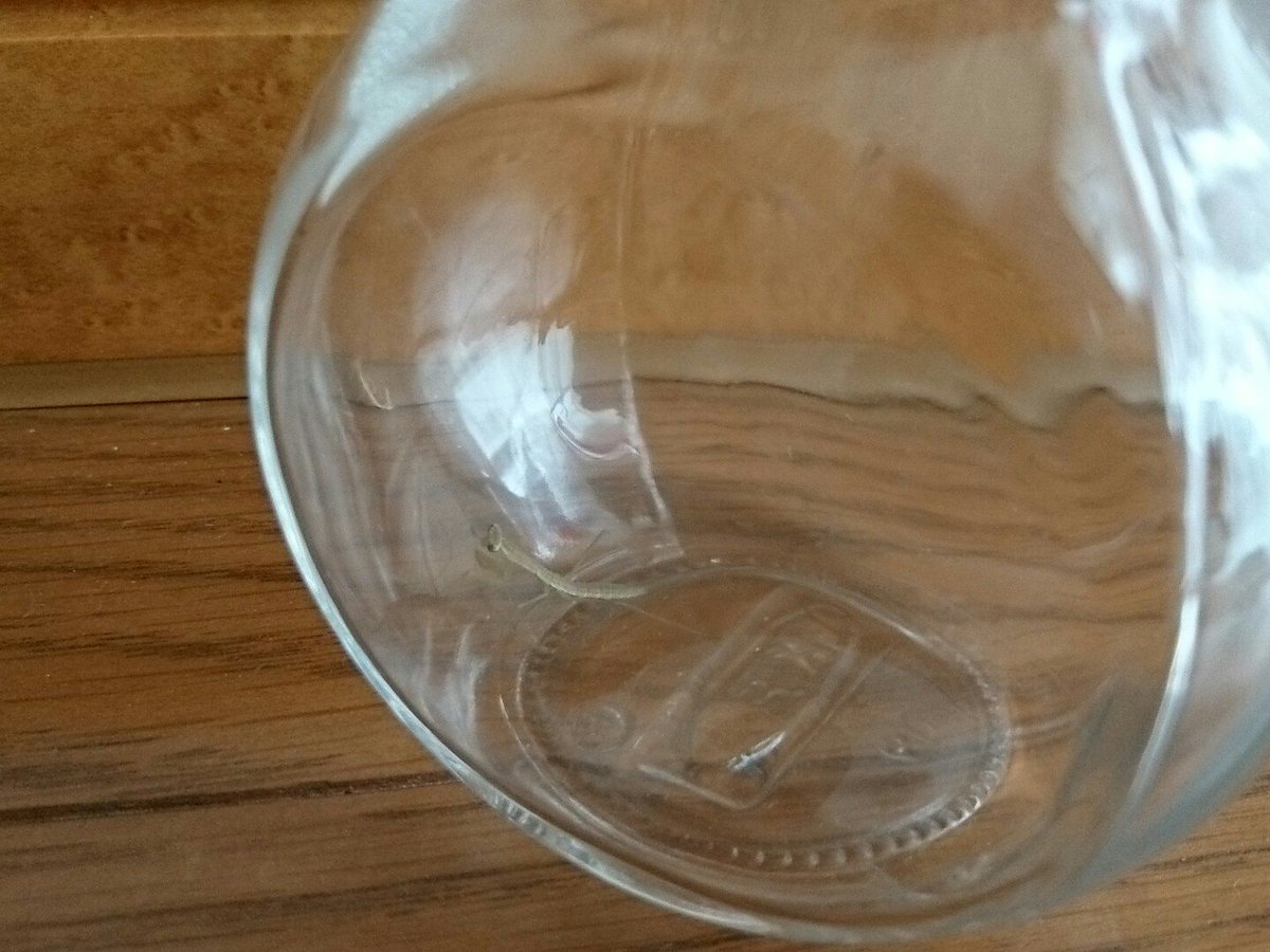 JMF日本ミクロネーション連盟広報🎄 tweet media