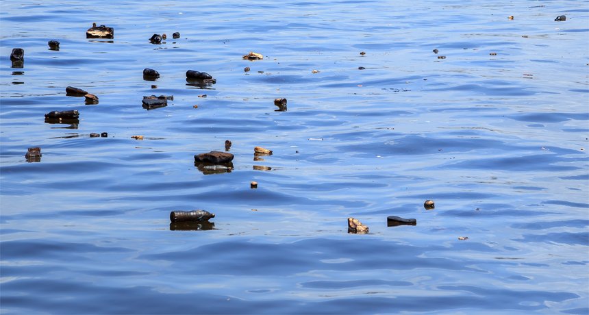 Climate Council tweet media