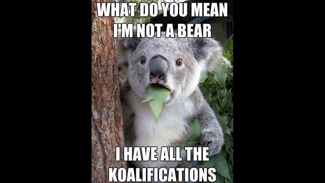 NervousDater's tweet photo. I ran out of memes that I made so here's someone else's #colddater https://t.co/aLSiXCgNGV