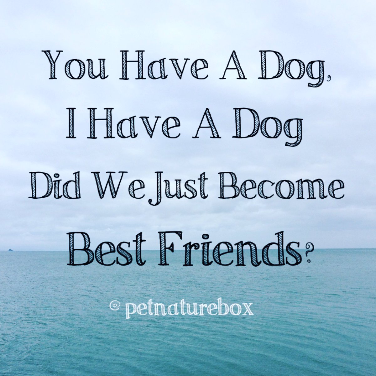 Yup!! 🐶🐾 #dogloversforlife #petnaturebox #thepetsbiz