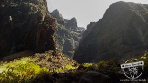 "Happiness is only real when shared" 
 
Click here! > buff.ly/2rPsX4R

#ThursdayThoughts #TravelTenerife