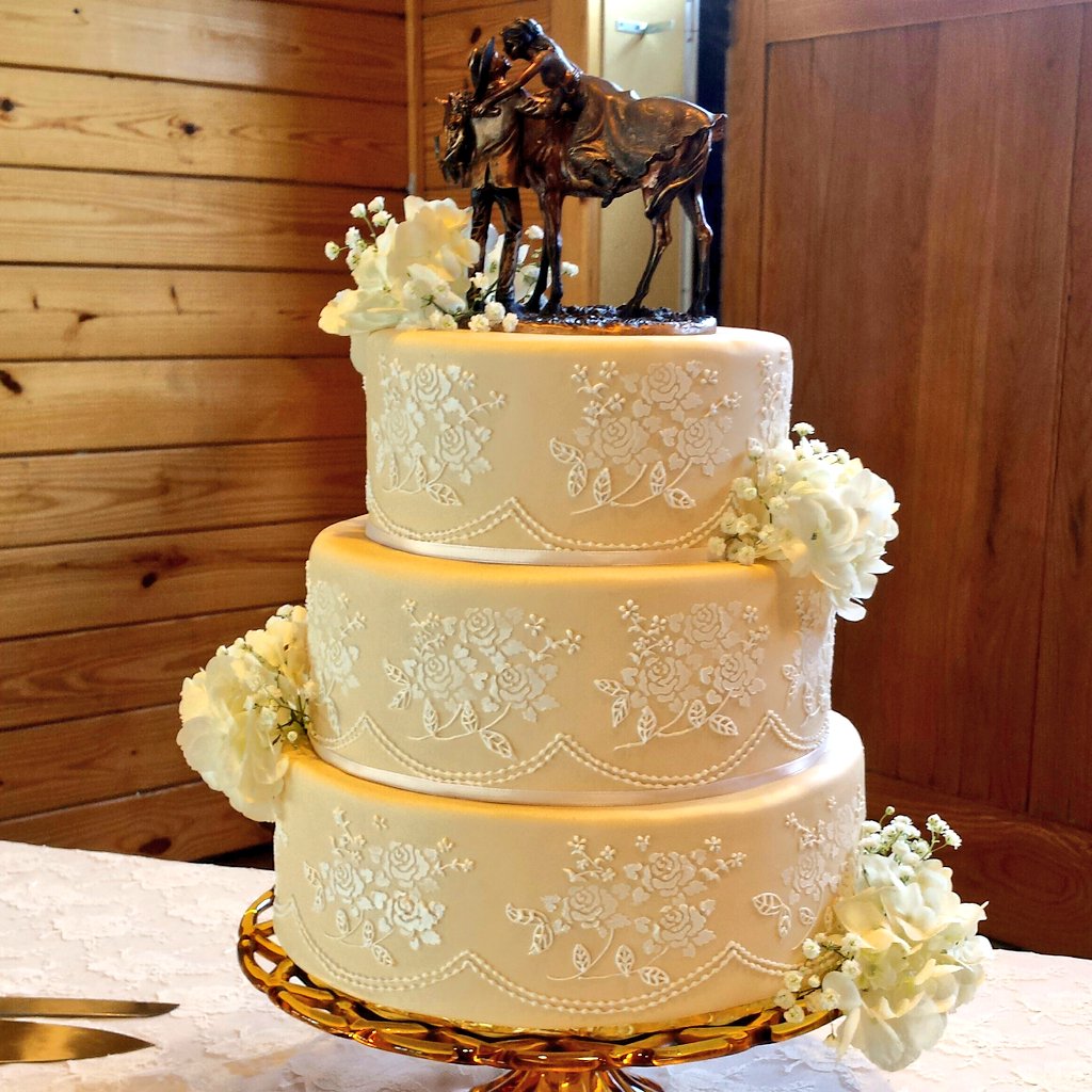 conifercakelady's tweet photo. #NewProfilePic https://t.co/sG4LtTFFwt