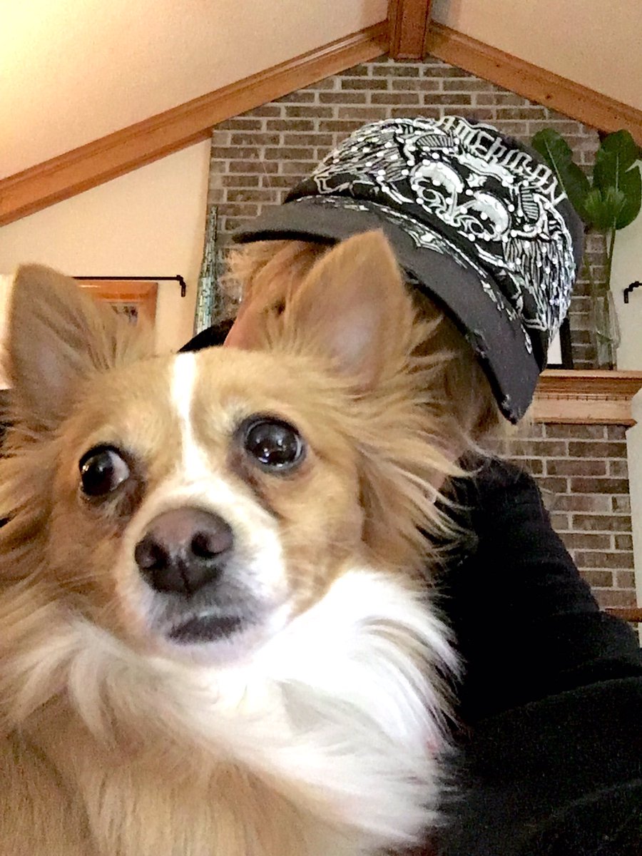 LB_LB_LB_LB_111's tweet photo. Shes right behind me isnt she?... #chickerranch https://t.co/zIoAJmCgBy