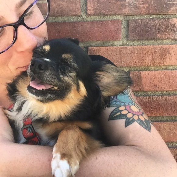RoscoeAndMama's tweet photo. I recently said goodbye to Roscoe. He went peacefully after suffering with declining health. He was a beautiful, sweet boy with much love ❤️ https://t.co/nzDR9r7ORd