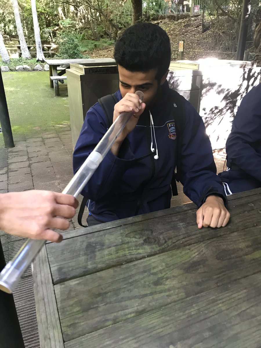 Fairfield_HSIE's tweet photo. Year 10 excursion to Minnamurra Rainforest! https://t.co/9hPNlTBY79