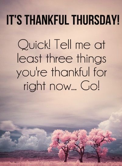 PassTheTorchDig's tweet image. #ThursdayMotivation