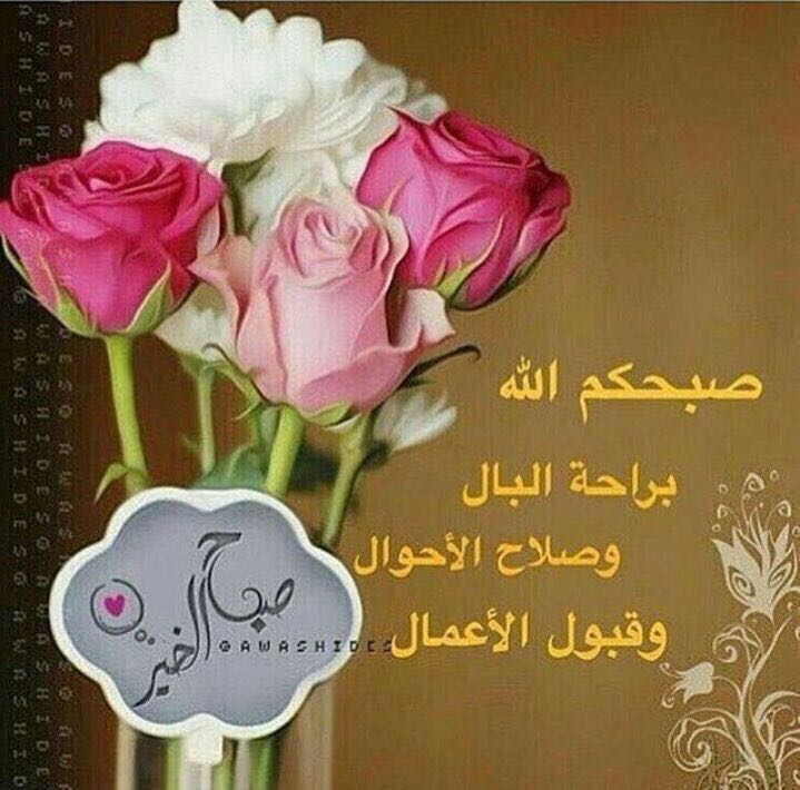 ALTEALTE1's tweet photo. https://t.co/CERlFyZkcq
