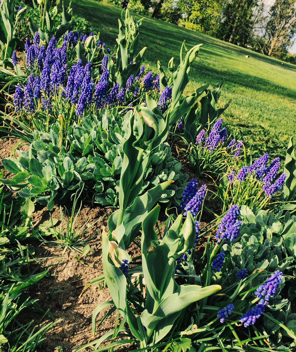 Aurinkoista ja iloista helatorstaita toivottaa koko HGKn henkilökunta 💐☀️