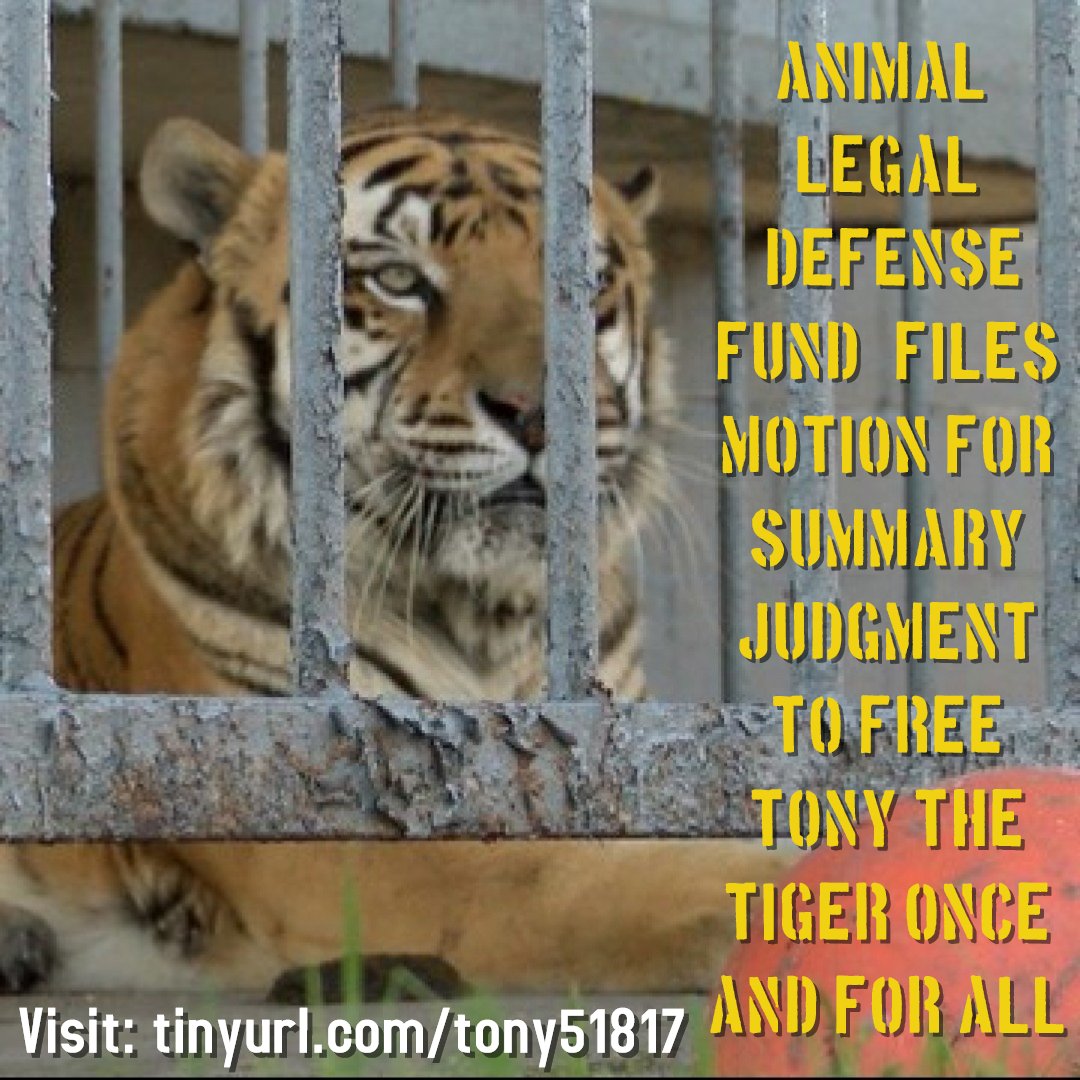 Free Tony The Tiger tweet media