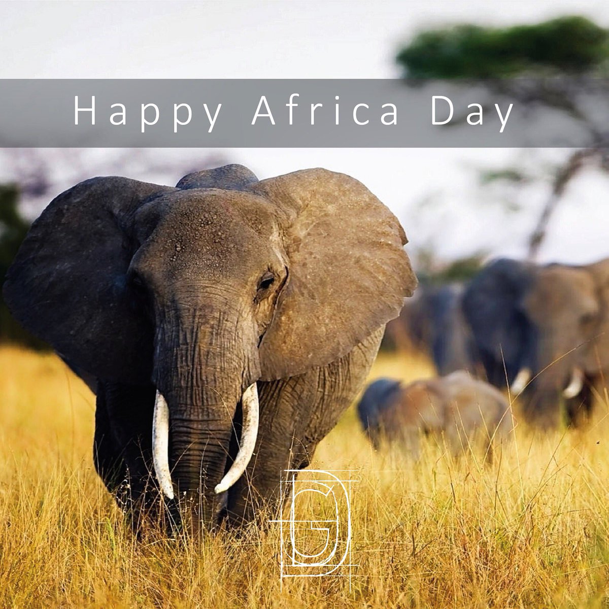 draft_graphic's tweet image. 🇿🇦🐾 We celebrate the success of people today in Africa, shoreline to shoreline, mountain to mountain. 

#happyafricaday #AfricaDay2017