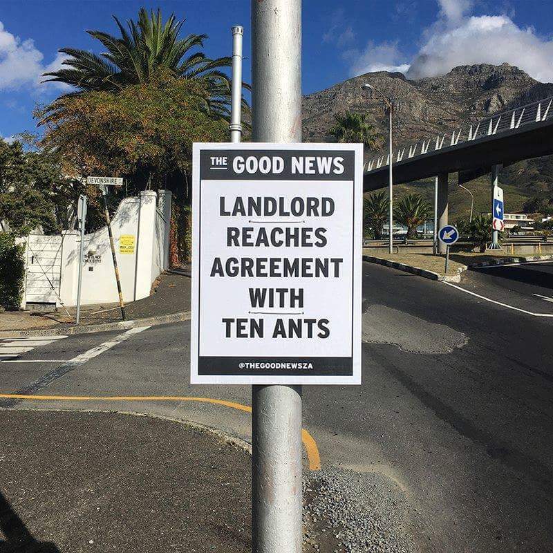 ScottonErica's tweet photo. The newsworthy impact a minority can make; is it possible the other gazillion ants are on strike https://t.co/x0ASnbe9Al