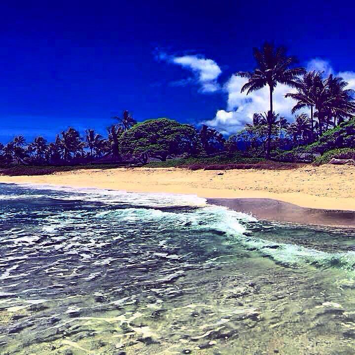 beyondhonolulu's tweet photo. Sweet Hawaii Nei. Relaxing in Kailua. #hawaii #beach #oahu #kailua #islandlife #gobeyond https://t.co/ze39Pd5jNT
