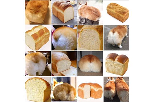 Moofio's tweet photo. Making A Corgi Loaf https://t.co/ybfNCIvHhu #cuteanimals #pets https://t.co/i2oQW4JqM4