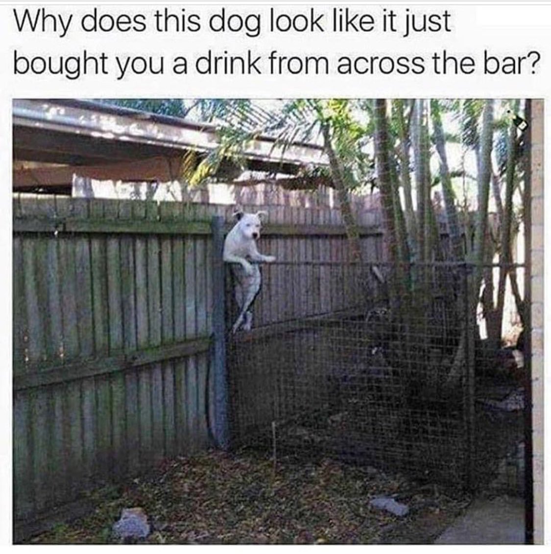 Eden Simone (@missedensimone) | Twitter