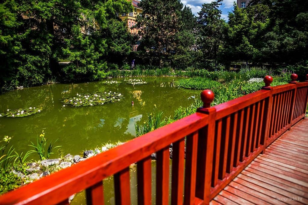 lice_grada's tweet photo. Spontana šetnja Botaničkim vrtom 😍😍 Link https://t.co/uaNWha2wxN 💻📷🌍 #BotanickiVrt #Zagreb #LiceGrada #Vrt #Park https://t.co/18bCWTTjBo