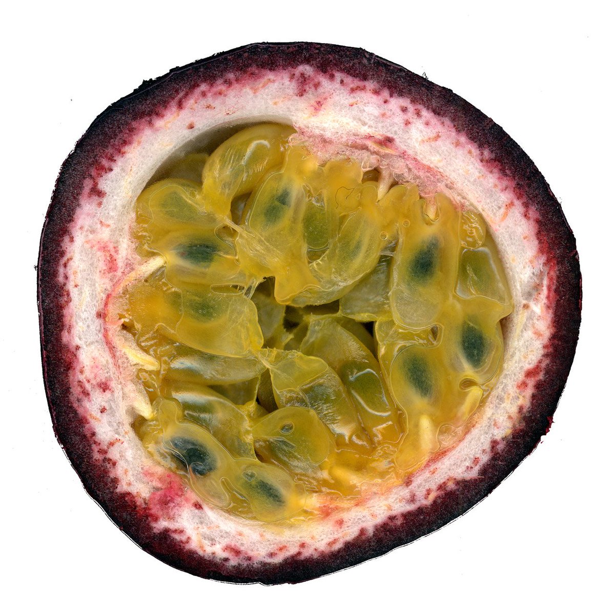 IHC meets fruit. Putting the 'passion' into science. Anyone else seeing strange things in their cell images? 🥝🍓🍍