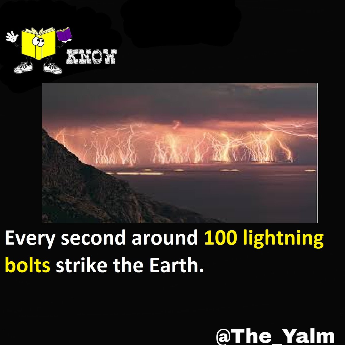 Losing A Pokemon Battle What Is A Yalm