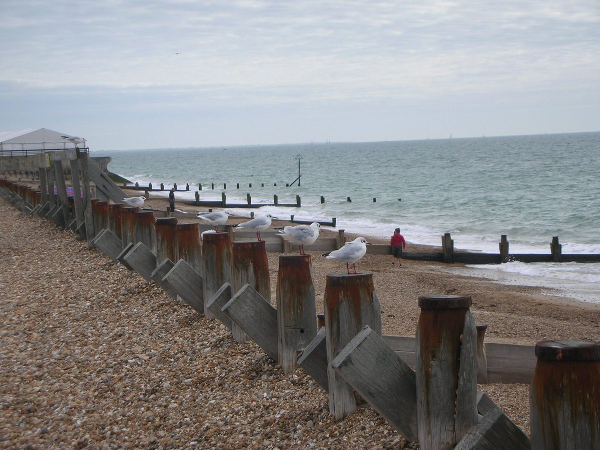 Emsworthandhi's tweet image. #Haylingisland wins Blue Flag beach award for 26th year at Beachlands thebeachguide.co.uk/south-west-eng…