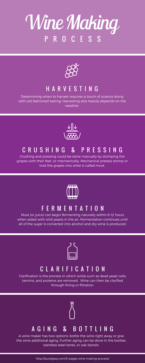 Pages24US's tweet photo. The basics of the wine making process in five stages 🍷😋#NationalWineDay https://t.co/vuvAwLTg5P