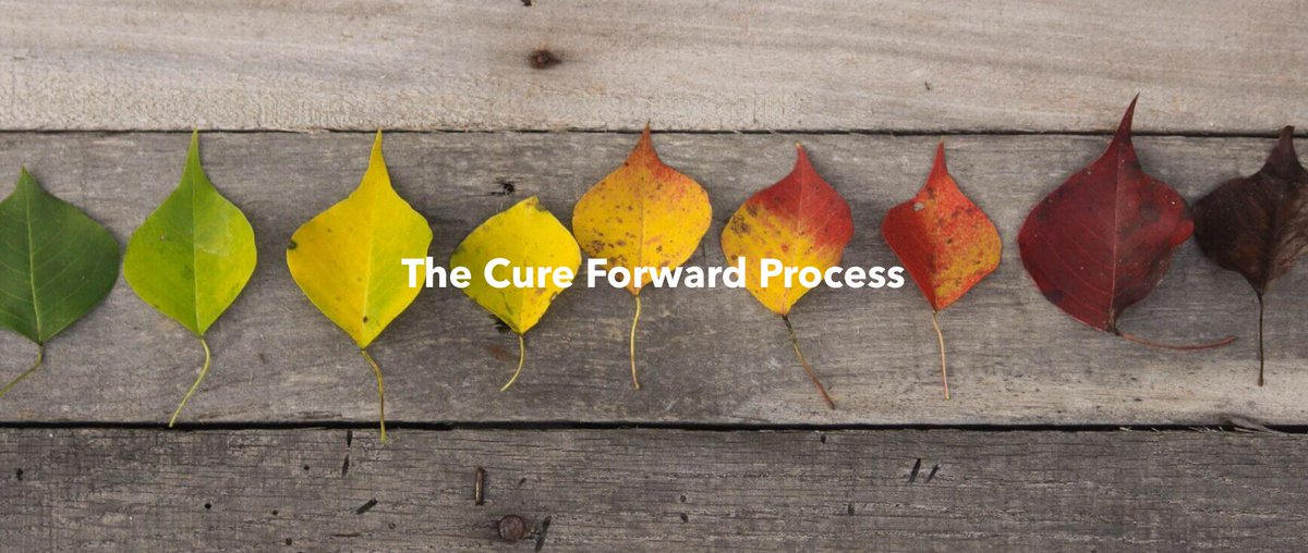 Cure Forward tweet media