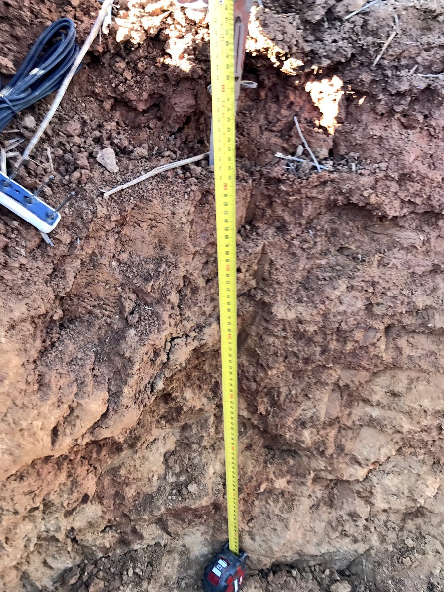 soilpED's tweet photo. Pre-plant soil pits for Walnut production. Tree productivity and water efficiency starts at planting prep #soilvariability https://t.co/ZpY75ePhRI
