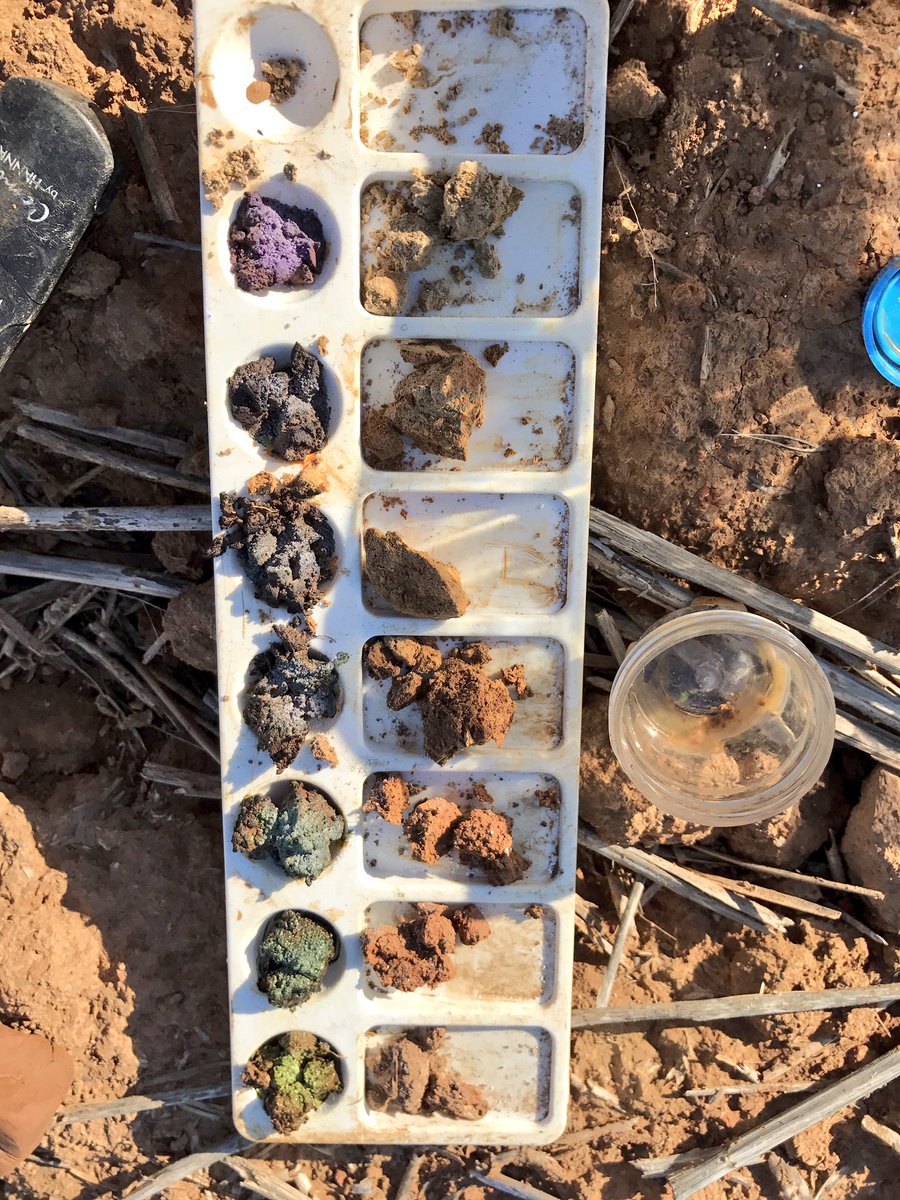 soilpED's tweet photo. Pre-plant soil pits for Walnut production. Tree productivity and water efficiency starts at planting prep #soilvariability https://t.co/ZpY75ePhRI