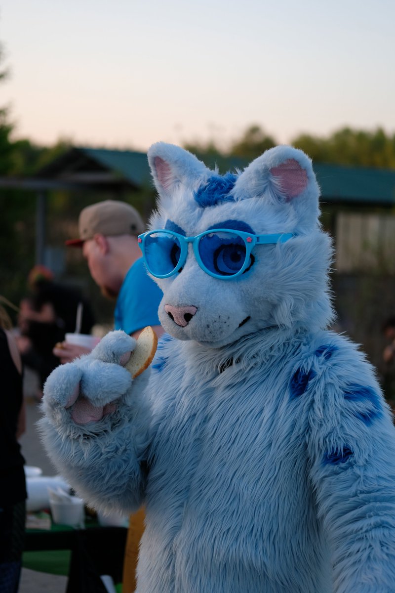 RolandPaws's tweet photo. Even when you are fursuit, sometimes you are hungry. @uafurence #WUFF2017 by Helzie ( https://t.co/jWE8BfLaMp ) https://t.co/d755aa5fJ3