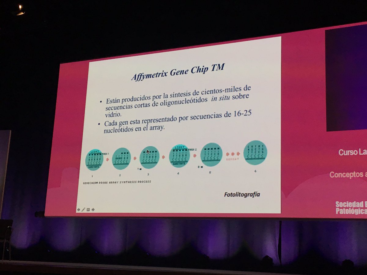 pivonne10's tweet image. Javier Hernández Losa lecture. Molecular Pathology Course 👏🏻👏🏻 #SEAP2017V