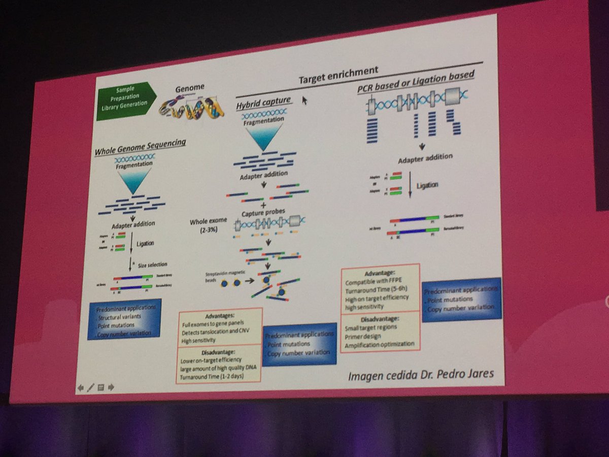 pivonne10's tweet image. Javier Hernández Losa lecture. Molecular Pathology Course 👏🏻👏🏻 #SEAP2017V