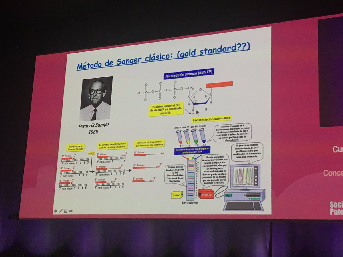 pivonne10's tweet image. Javier Hernández Losa lecture. Molecular Pathology Course 👏🏻👏🏻 #SEAP2017V