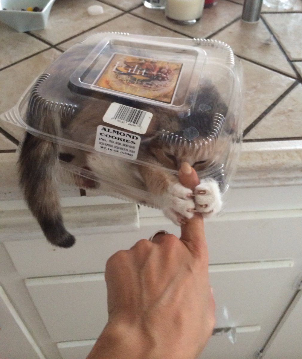 WARNING: Police have warned of a recent rise in Almond Cookie Traps!