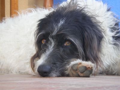 VG Parte-hartzea / Participación tweet media