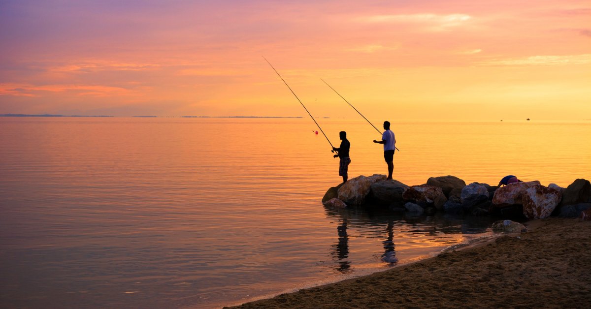 FishSnapsUK's tweet image. Share your fishing catch photos. Send your photos and I'll add them to the Facebook fan page. facebook.com/FishSnaps/ #fishing #carp #fly