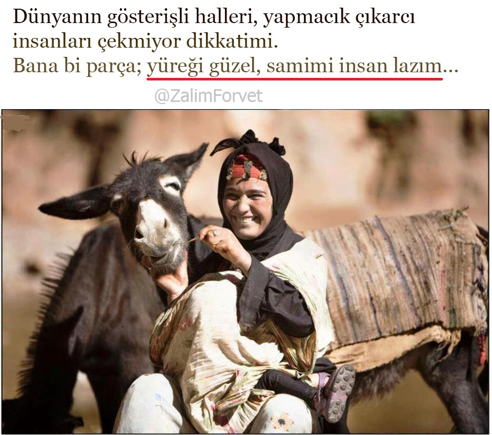 Bana bi parça: yüreği güzel,samimi insan lazım...
#zalimforvet #zalımdünya
#zalim #zalımhayat