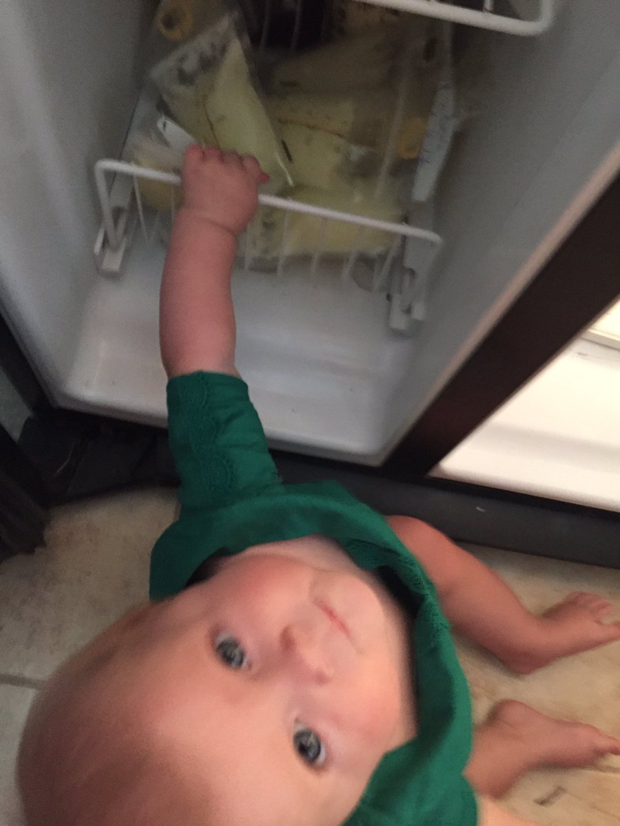 MarkKelly_News's tweet photo. Mama, I found your secret stash! ๐ผ ๐#BreastMilk #frozen #DoomsDayStash @WPBF25News https://t.co/xfrvSA9dn8