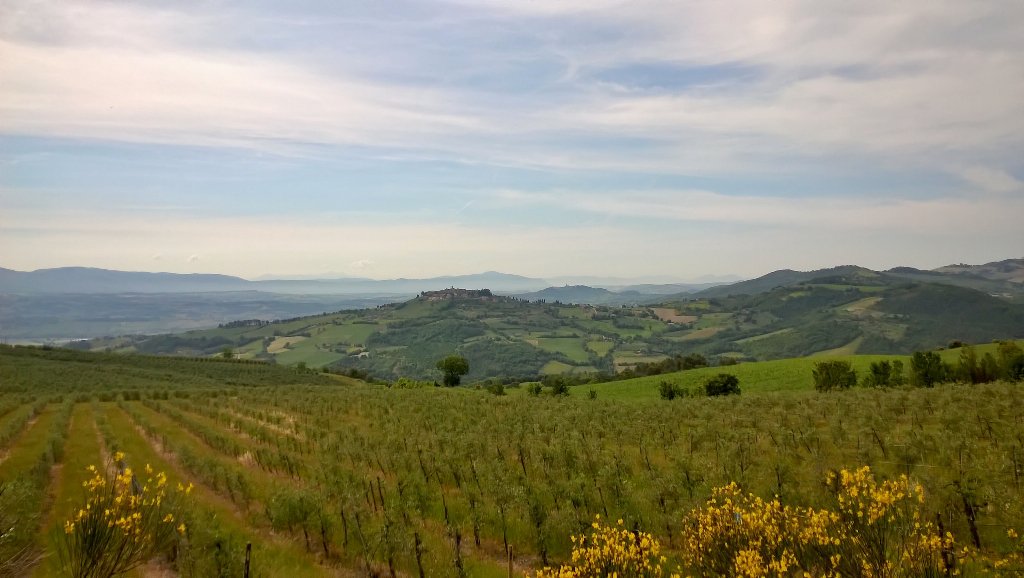 Maurizio Marcelli tweet media