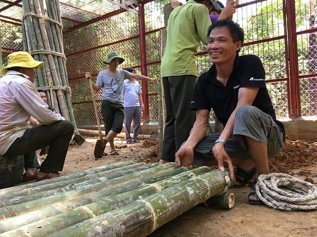 "..with 1,000 bears yet to be rescued from bile farms in Vietnam – it’s vital standards in all sanctuaries improve." animalsasia.org/intl/media/new…