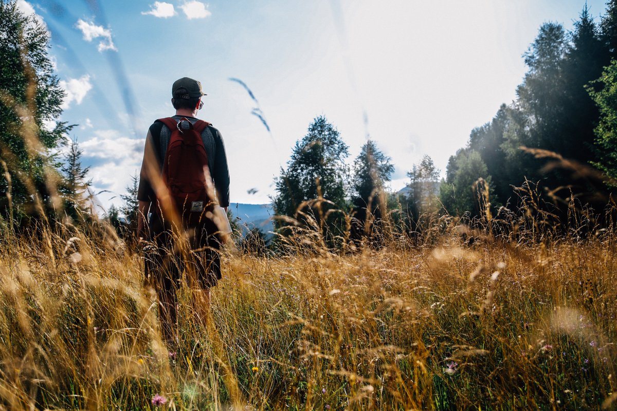 JosiahVenture's tweet photo. The harvest is plentiful. We're ready to reap some good fruit this summer, as over 100 interns arrive soon. #jvinterns #jvsummercamps https://t.co/djv26C6jL5