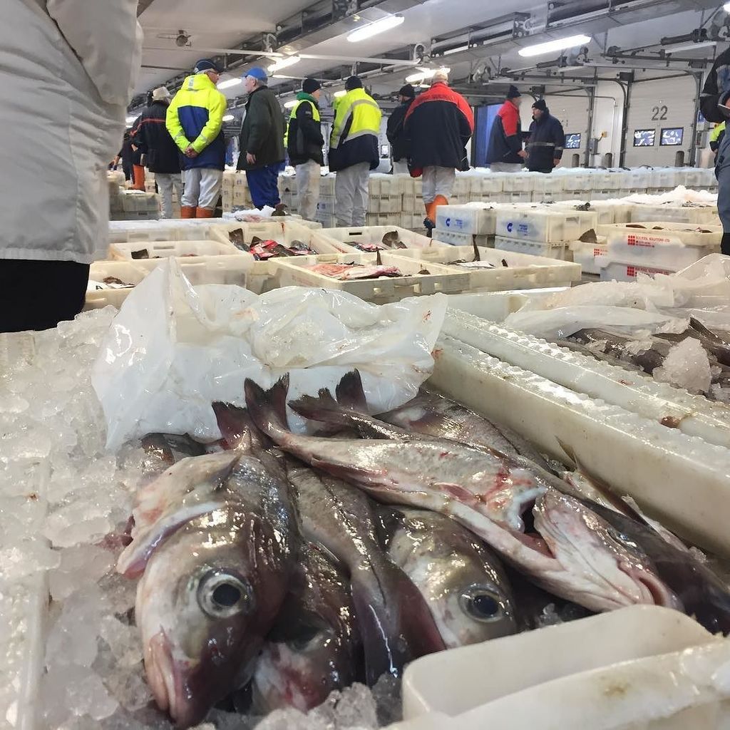 johnharris1969's tweet photo. Peterhead fish market, big pro-Brexit tilt #ABWelection2017 https://t.co/ic671IBXVV https://t.co/teDa4gM7jr
