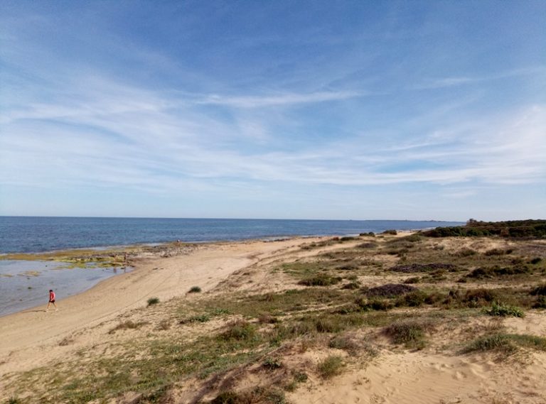 viajablog's tweet photo. Llega el verano y nos vamos de recorrido por las playas de la Costa Blanca de #Alicante #logiloco https://t.co/pzIlMywPYN @logitravel https://t.co/AE2Idfxmp2