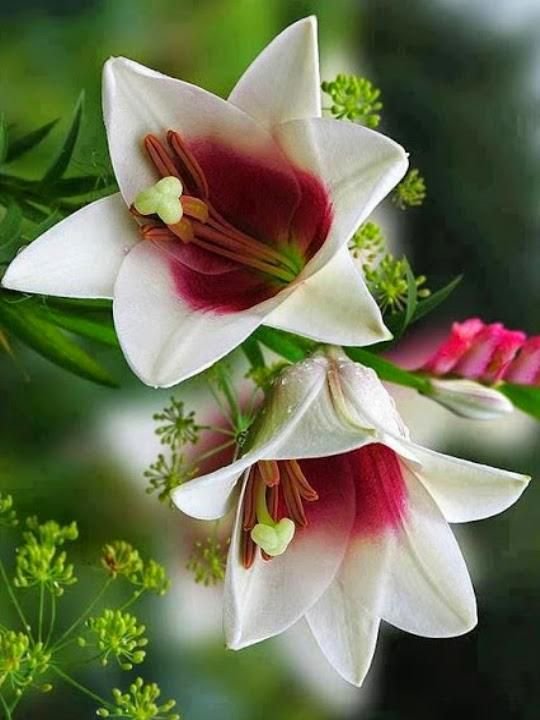 suzysar's tweet photo. https://t.co/uBfPFNedAT