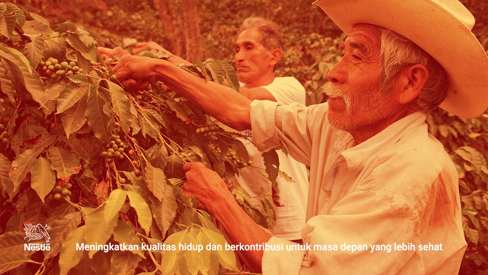 NestleIndonesia's tweet photo. Di balik setiap cangkir kopi yg Anda minum, terdapat begitu banyak kebaikan dari, untuk &amp; oleh masyarakat https://t.co/CFYIuNJv7P #GoodLife https://t.co/eLPb7bwJAz