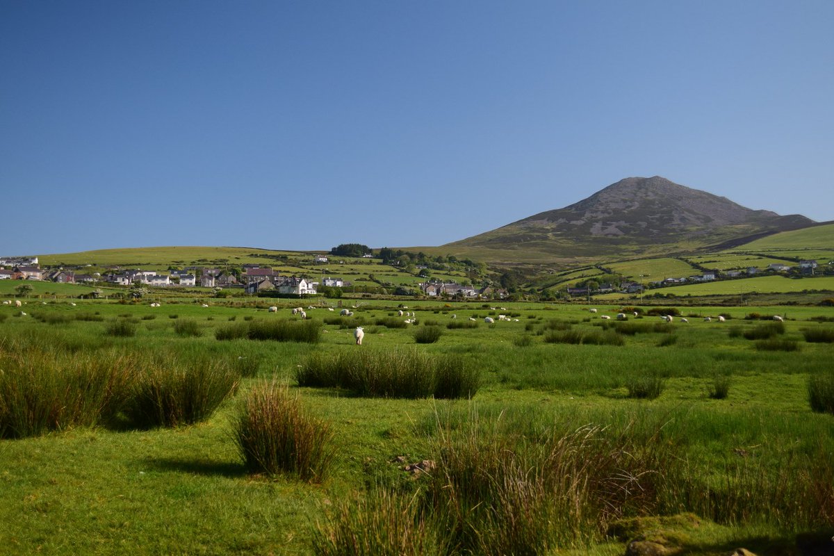 GorslwydCottage's tweet image. Bore da! Beautiful day in #llithfaen..
@WeLoveLlyn @visitwales @GoNorthWales @DerekTheWeather #llynpeninsula #penllyn #sunny #northwales