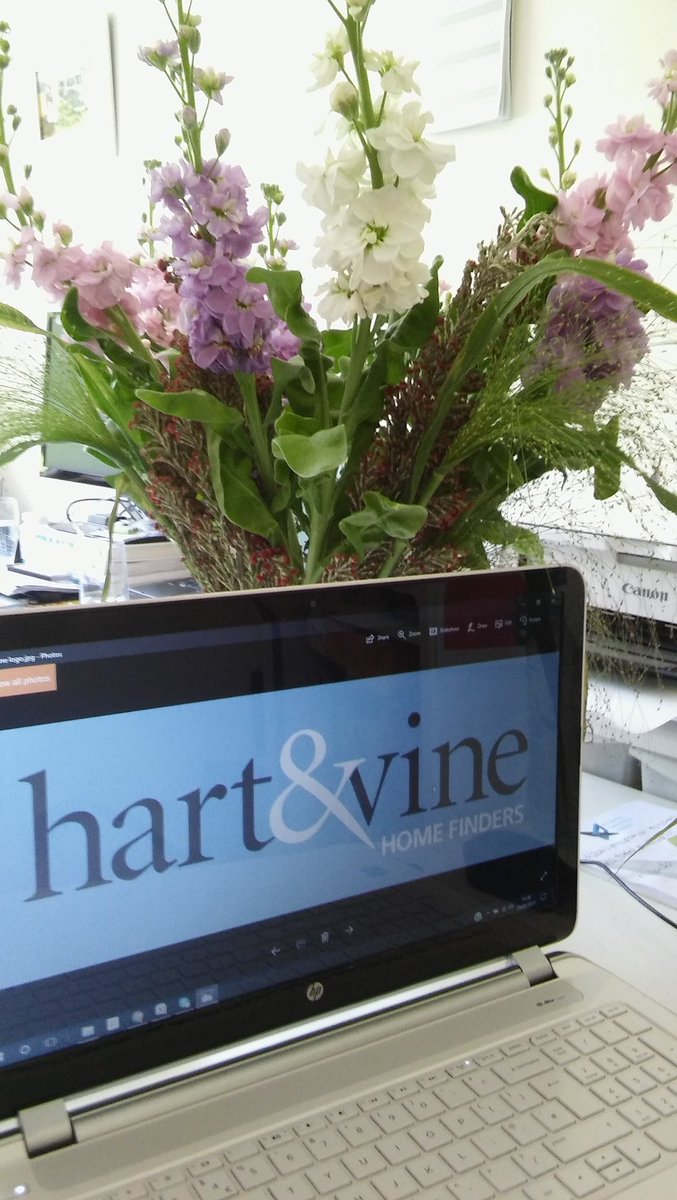 Our own #flowershow thanks <a href="/FreddiesFlowers/">Freddie's Flowers</a> #newbusiness try it for yourself #brightoffice #brighthome #homefinding