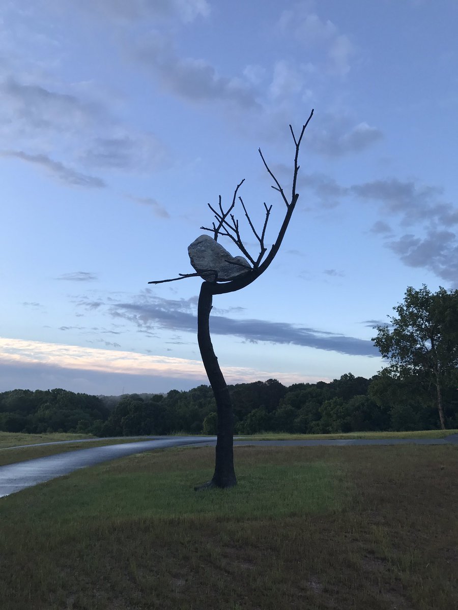 Morning run at the @ncartmuseum #hillworkout