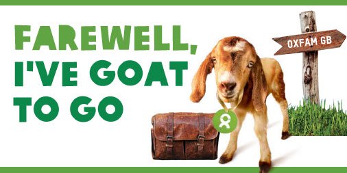 Archie Goat (@ArchieTheGoat) / Posts / X