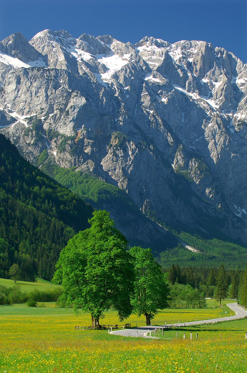 Welcome to Logarska dolina-Solčavsko